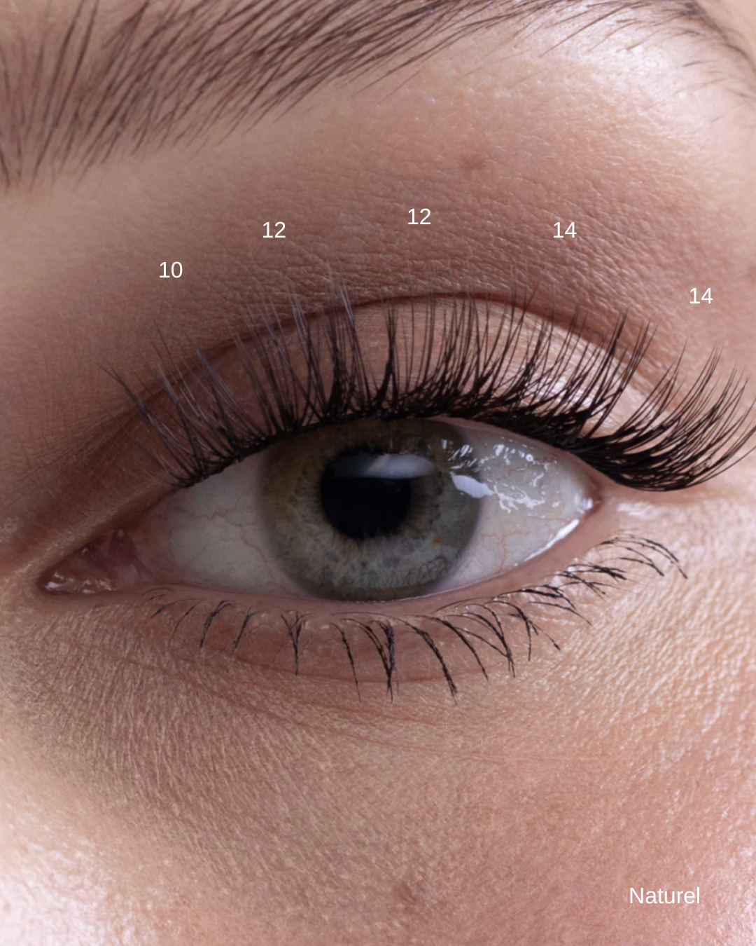 Naturel - Cil à cil