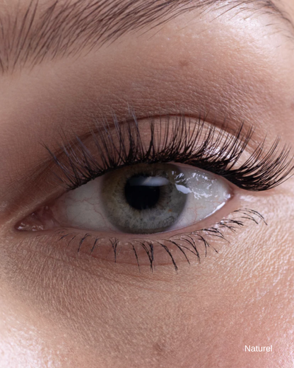 SILASHES Starter Kit