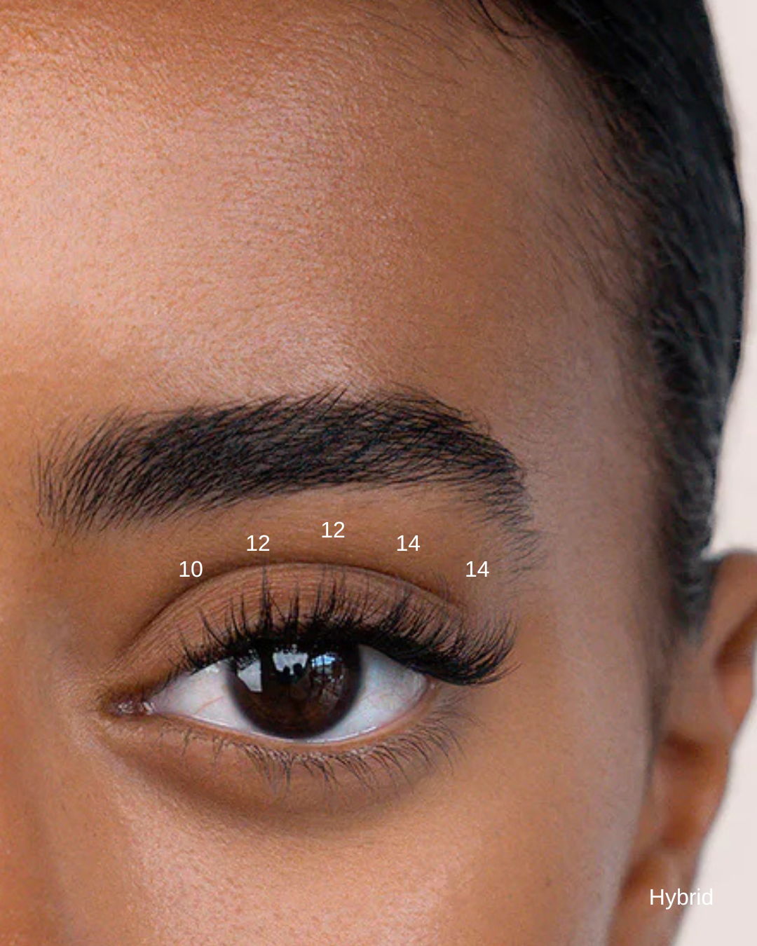 Le Starter Kit SILASHES — L'essentiel pour débuter