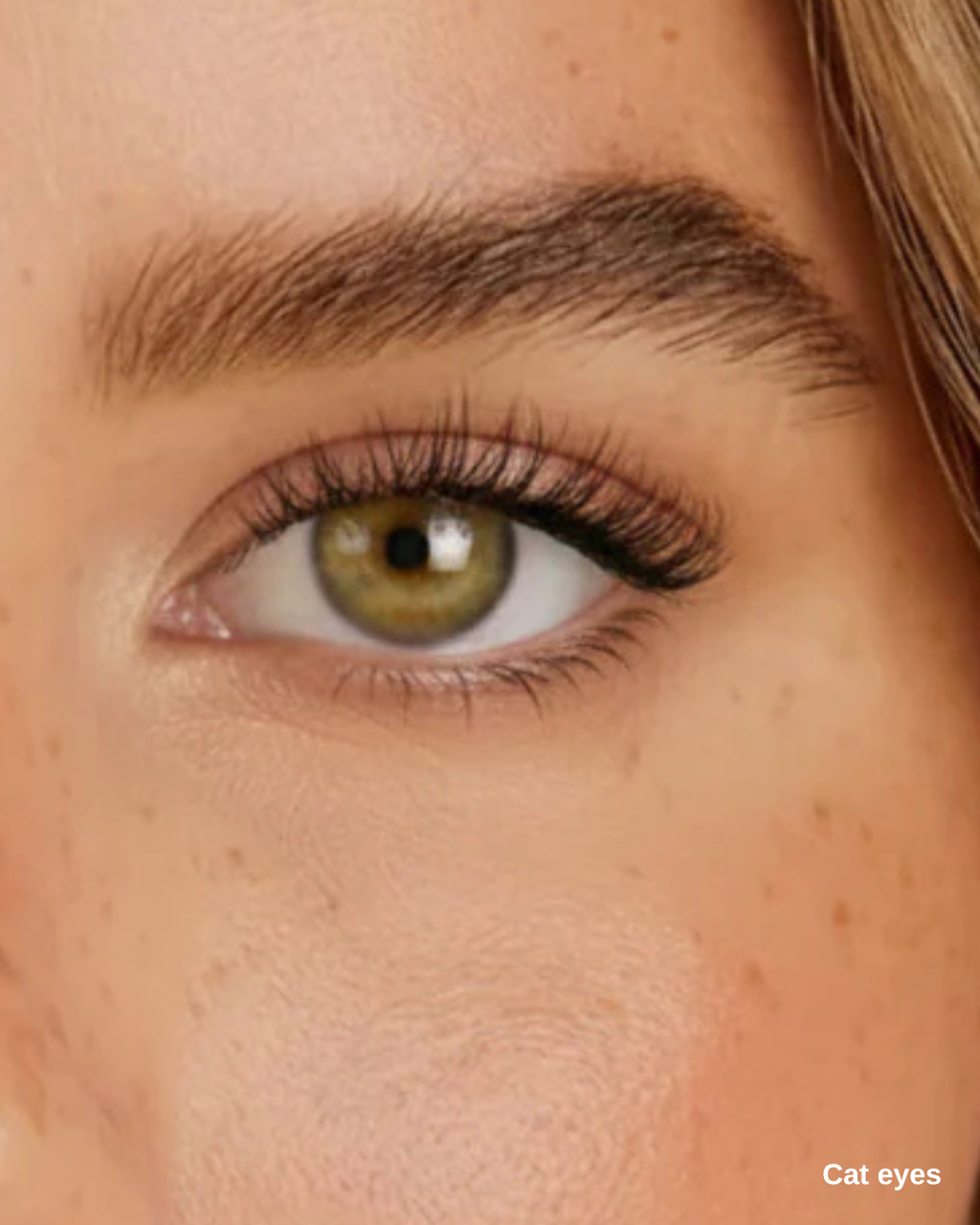 Cat Eyes — Cluster Lashes Signature
